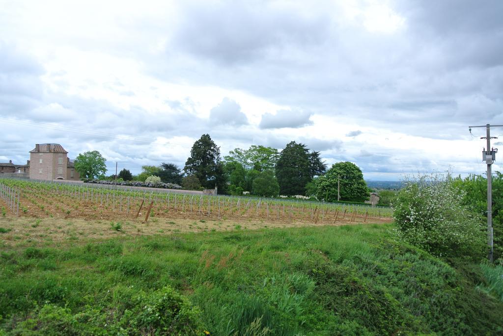 Hotel Des Vignes Juliénas エクステリア 写真