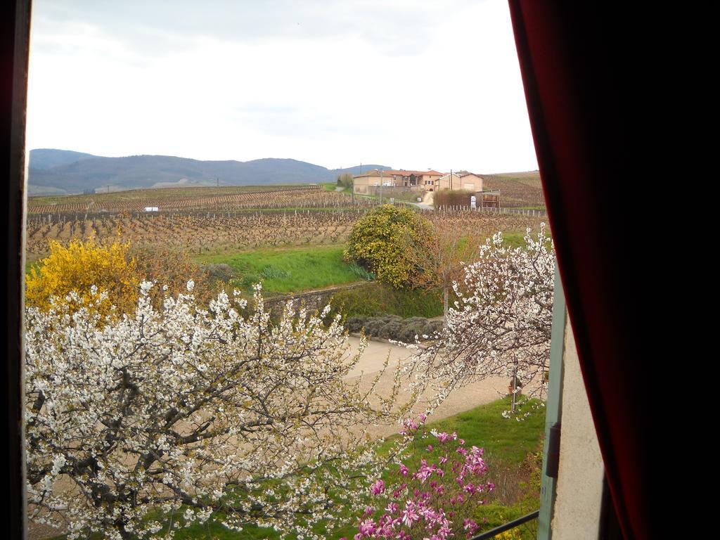 Hotel Des Vignes Juliénas エクステリア 写真